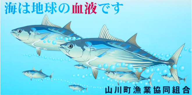 海は地球の血液です 山川町漁業協同組合