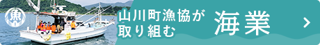 山川町漁協が取り組む海業